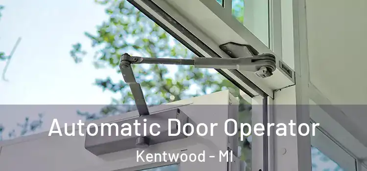Automatic Door Operator Kentwood - MI