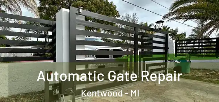 Automatic Gate Repair Kentwood - MI