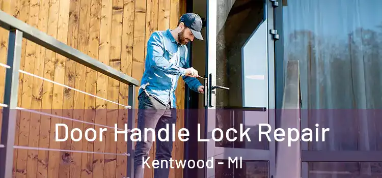 Door Handle Lock Repair Kentwood - MI