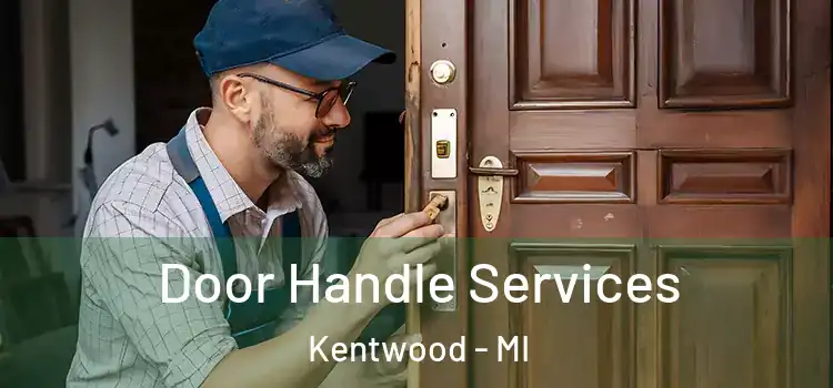 Door Handle Services Kentwood - MI