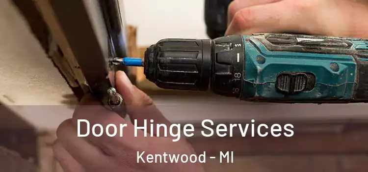 Door Hinge Services Kentwood - MI