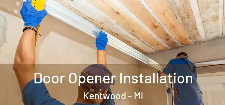 Door Opener Installation Kentwood - MI