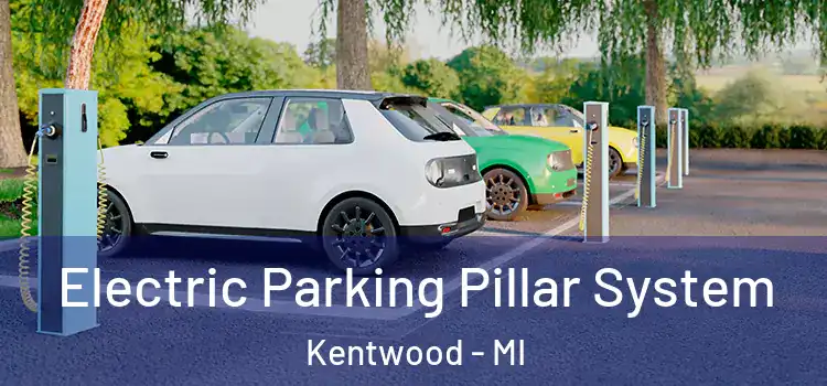 Electric Parking Pillar System Kentwood - MI