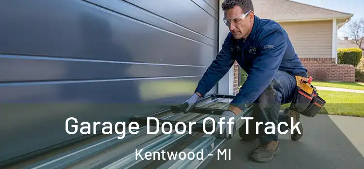  Garage Door Off Track Kentwood - MI