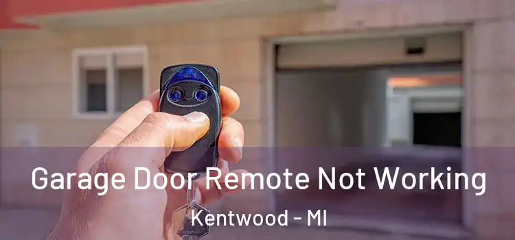  Garage Door Remote Not Working Kentwood - MI