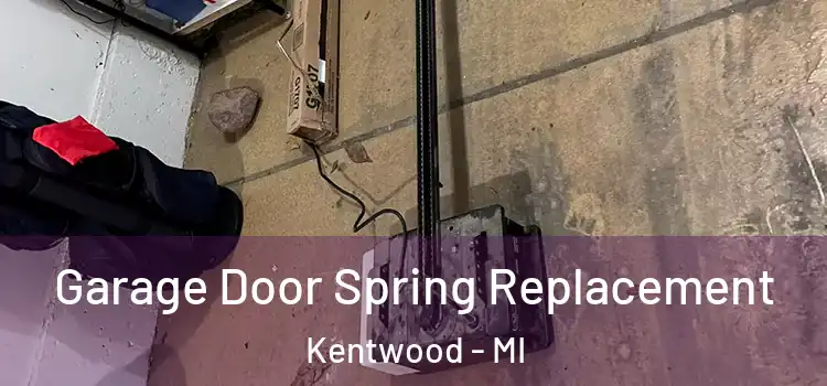  Garage Door Spring Replacement Kentwood - MI