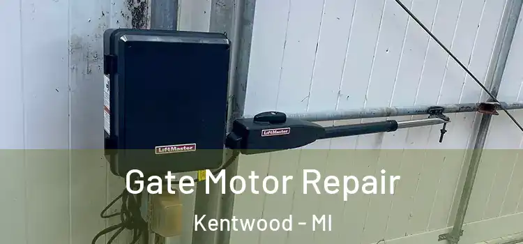  Gate Motor Repair Kentwood - MI
