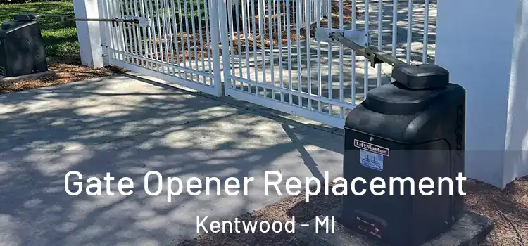 Gate Opener Replacement Kentwood - MI