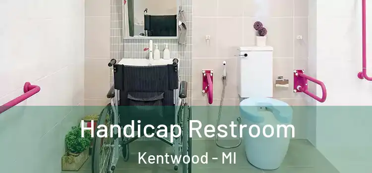  Handicap Restroom Kentwood - MI