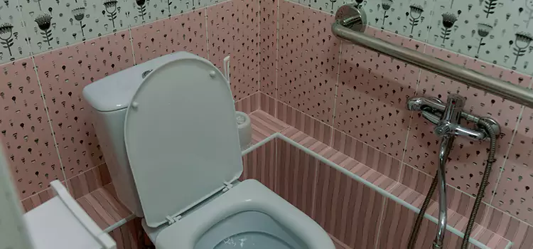 Meeting Diverse Needs With Accessible Restroom Solutions in Kentwood, MI