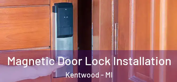  Magnetic Door Lock Installation Kentwood - MI