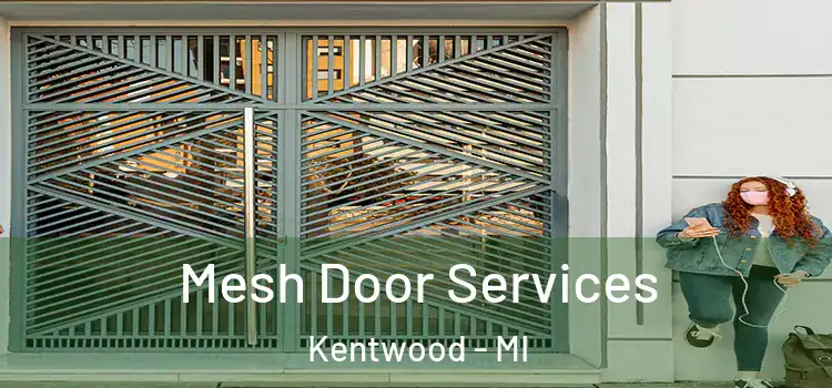 Mesh Door Services Kentwood - MI