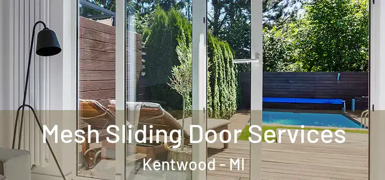 Mesh Sliding Door Services Kentwood - MI