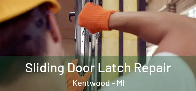 Sliding Door Latch Repair Kentwood - MI