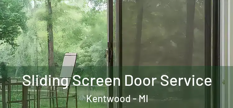 Sliding Screen Door Service Kentwood - MI